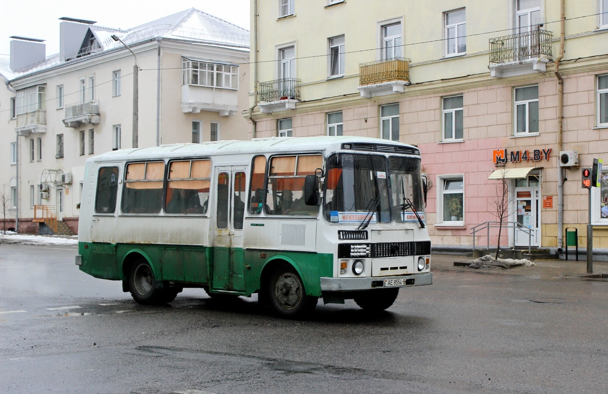 Могилёвская область, ПАЗ-3205* (двери 2-1) № АЕ 8554-6 — Фото ...