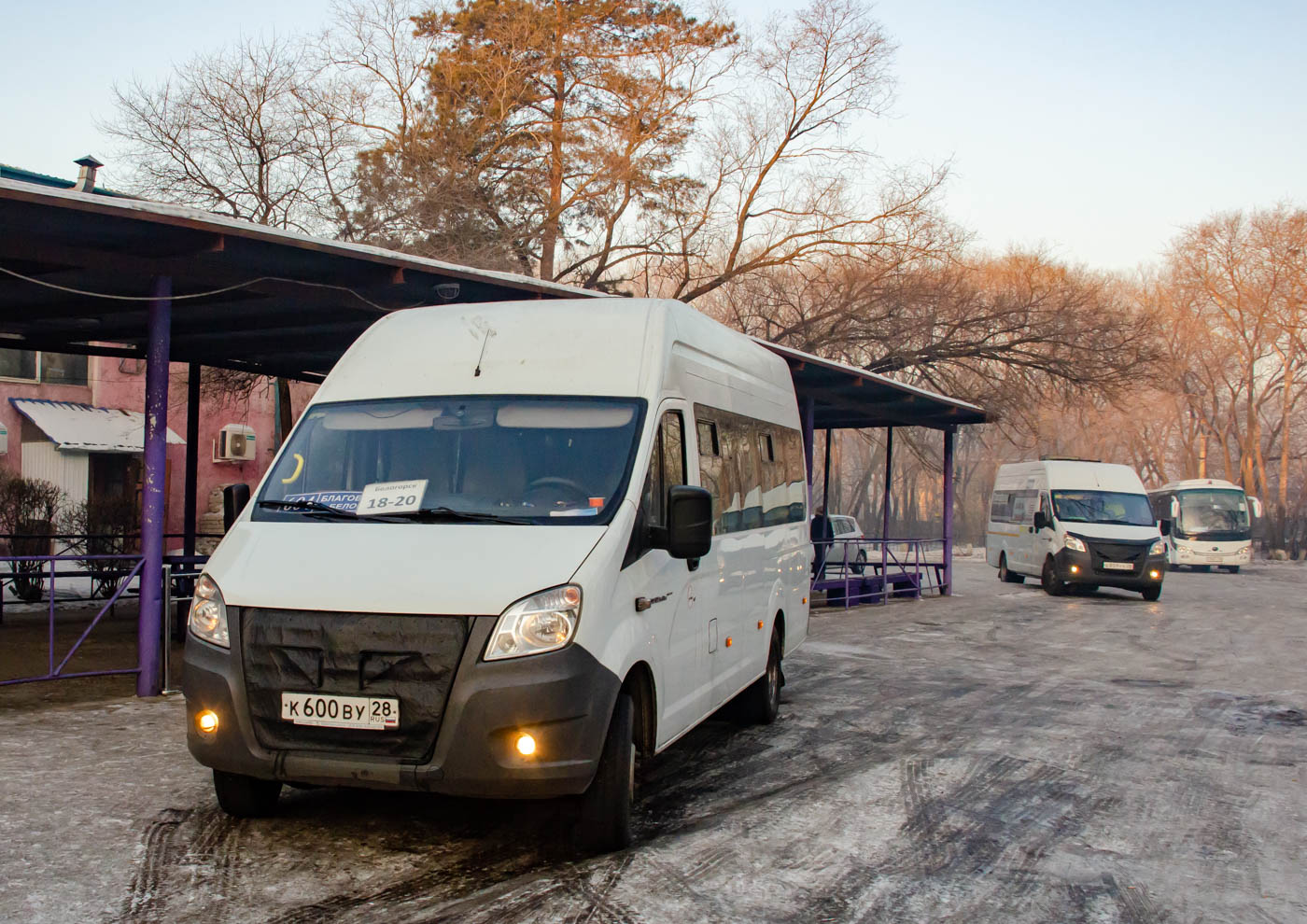 Амурская область, ГАЗ-A65R52 Next № К 600 ВУ 28; Амурская область, Yutong ZK6938HB9 № К 090 УА 28