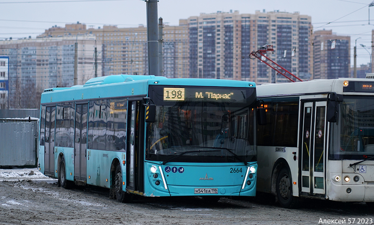 Санкт-Петербург, МАЗ-203.047 № 2664