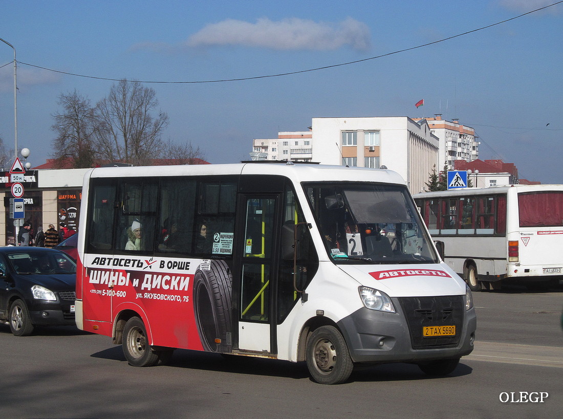 Витебская область, ГАЗ-A64R42 Next № 2 ТАХ 5690