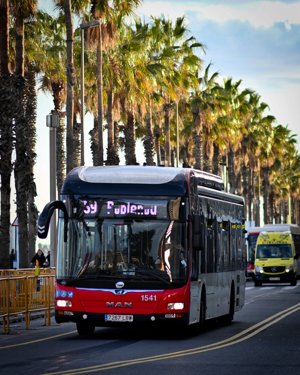 Испания, MAN A21 Lion's City NL313 CNG (Burillo) № 1541