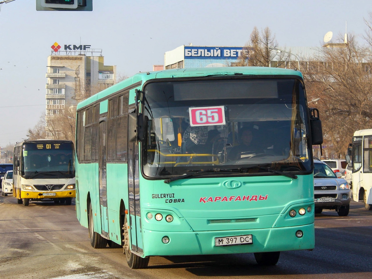 Карагандинская область, Güleryüz Cobra GD272 № M 397 DC