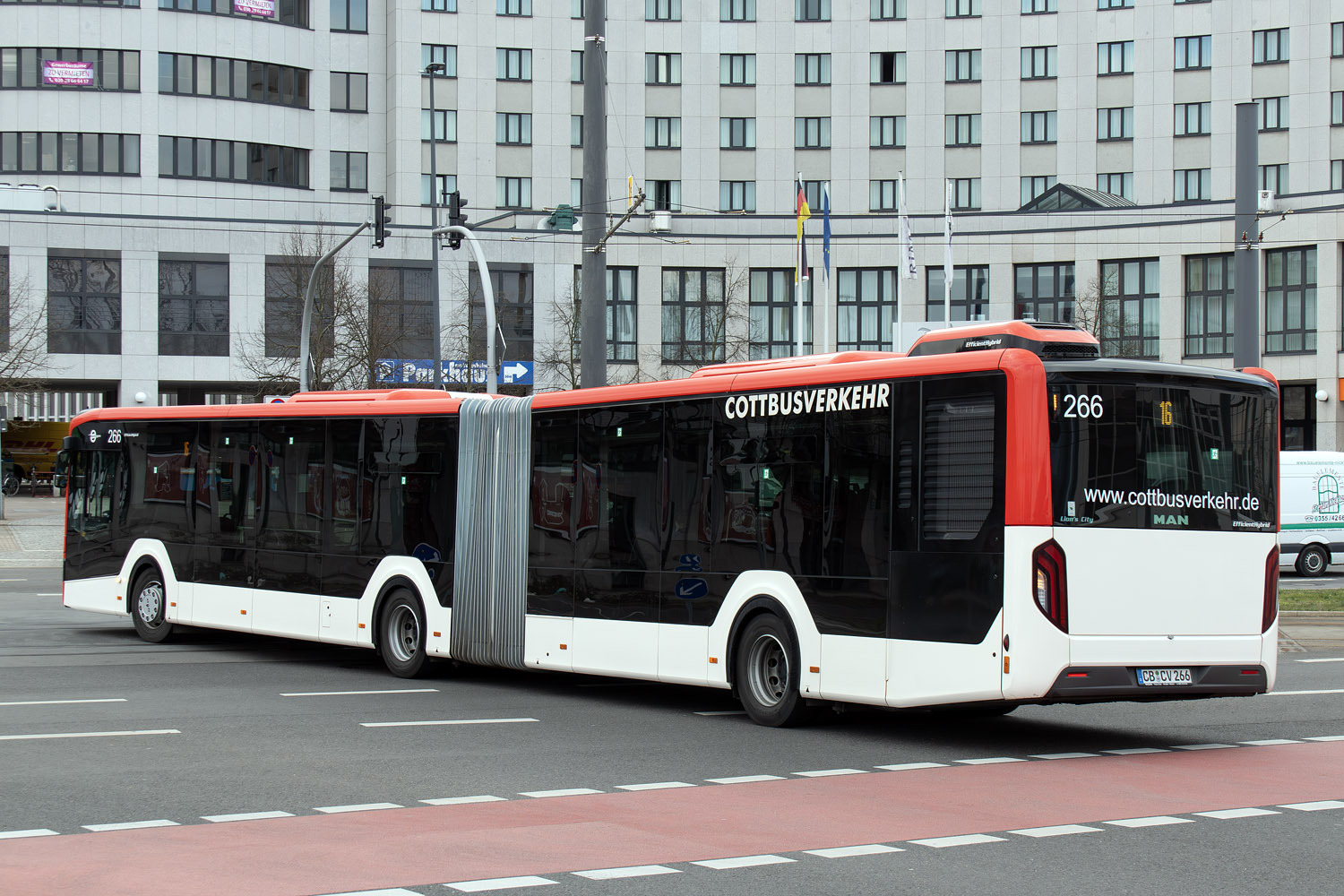 Бранденбург, MAN 19C Lion's City 19 NG360 EfficientHybrid № 266
