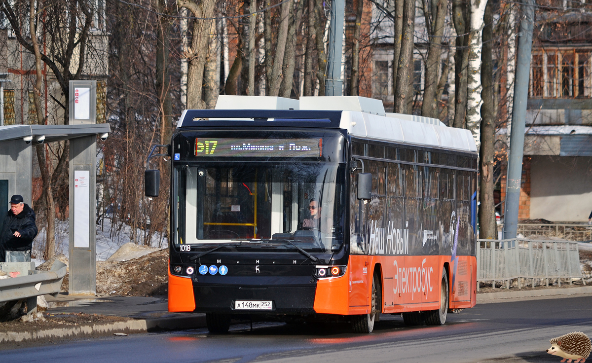 Нижегородская область, Нижэкотранс-6256 (БКМ-Е450) № 1018 Нижегородская область, Нижэкотранс-6256 (БКМ-Е450) № 1018