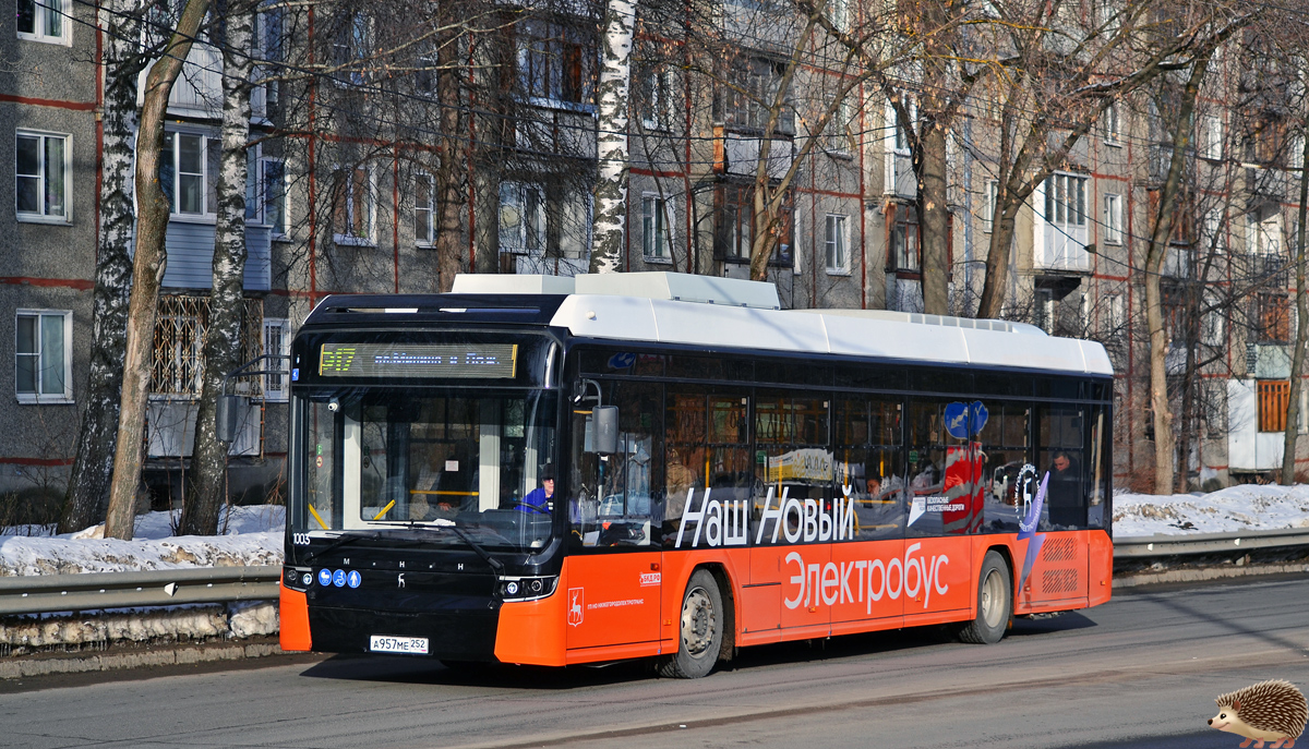 Нижегородская область, Нижэкотранс-6256 (БКМ-Е450) № 1003