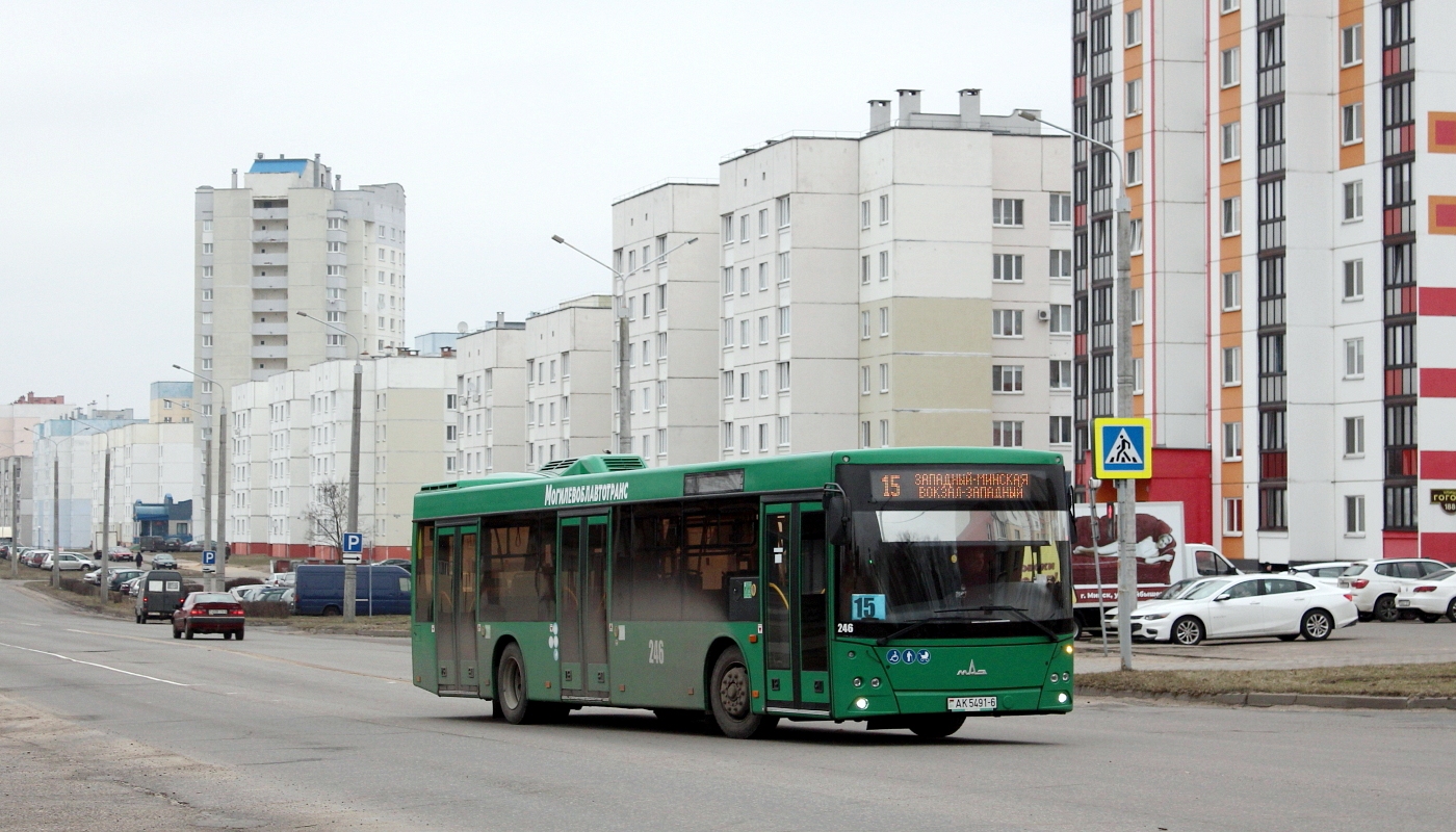 Могилёвская область, МАЗ-203.045 № 246