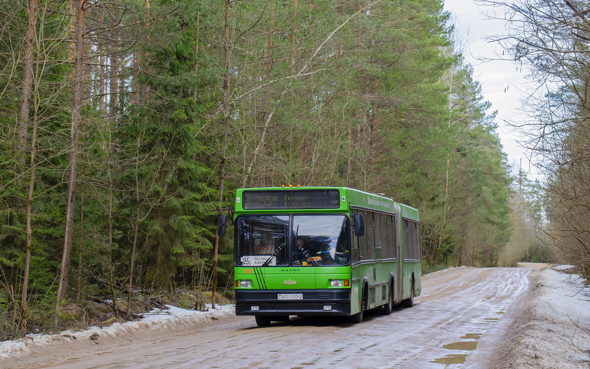 Vitebsk region, MAZ-105.065 Nr. 029866