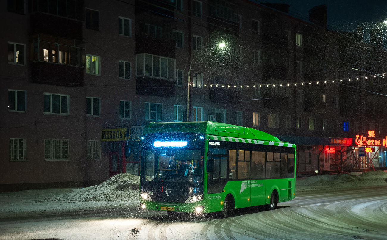 Курская область, Volgabus-4298.G4 (CNG) № 10691