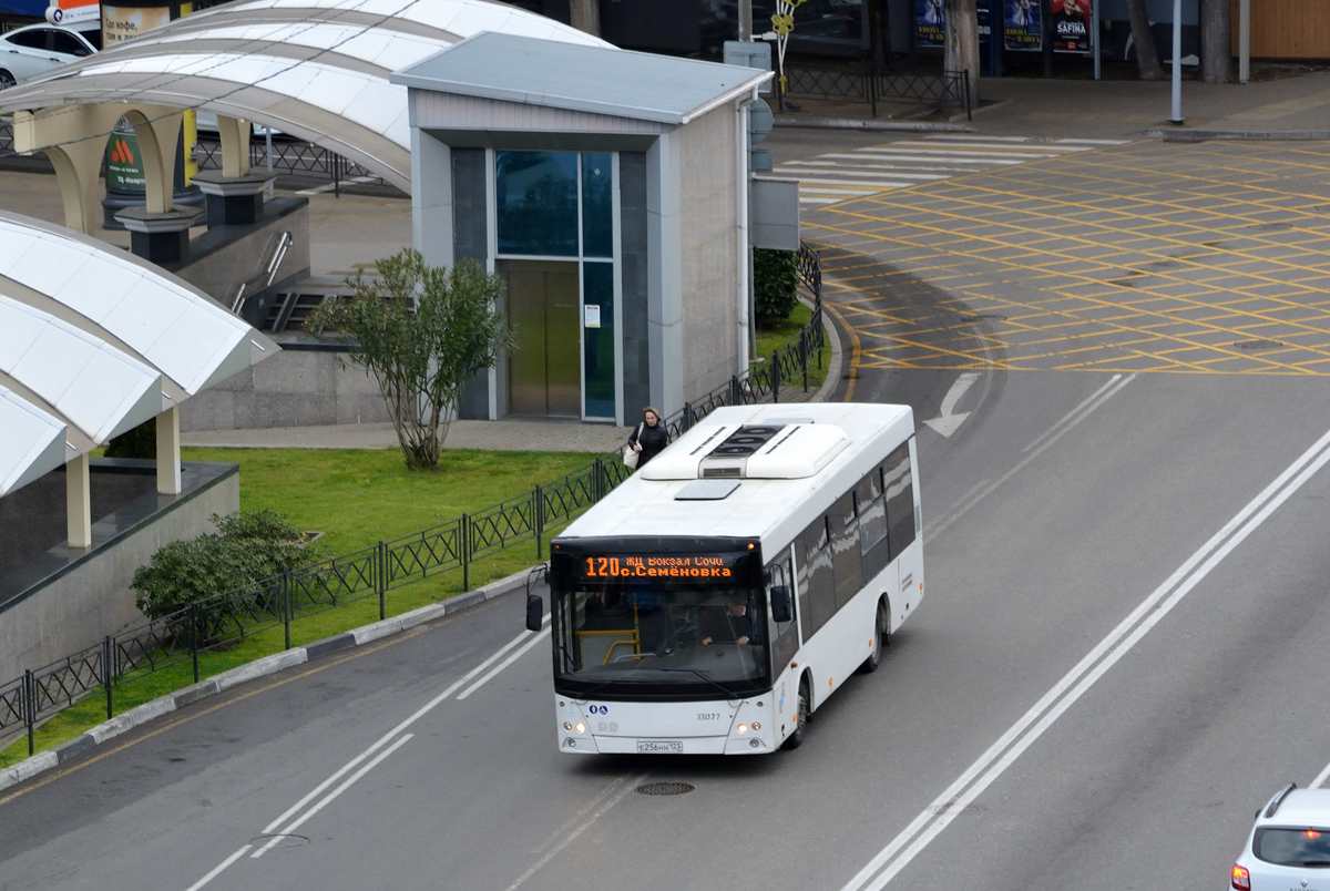 Краснодарский край, МАЗ-206.086 № 33077