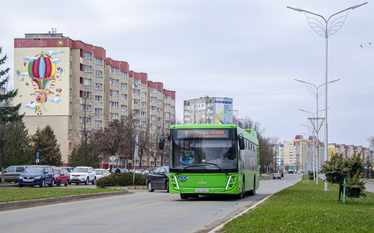 Минская область, МАЗ-203.047 № 12231