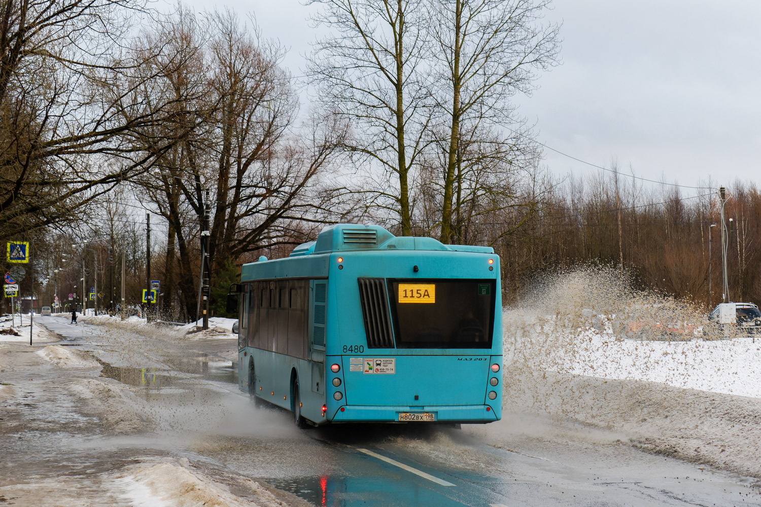 Санкт-Петербург, МАЗ-203.047 № 8480 Санкт-Петербург, МАЗ-203.047 № 8480