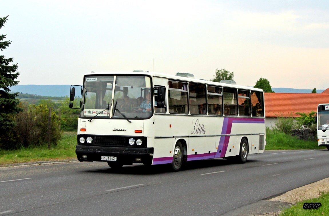 Венгрия, Ikarus 250.59 № P-01442 21; Венгрия — III. Nemzetközi Ikarus Találkozó, Tapolca (2022)