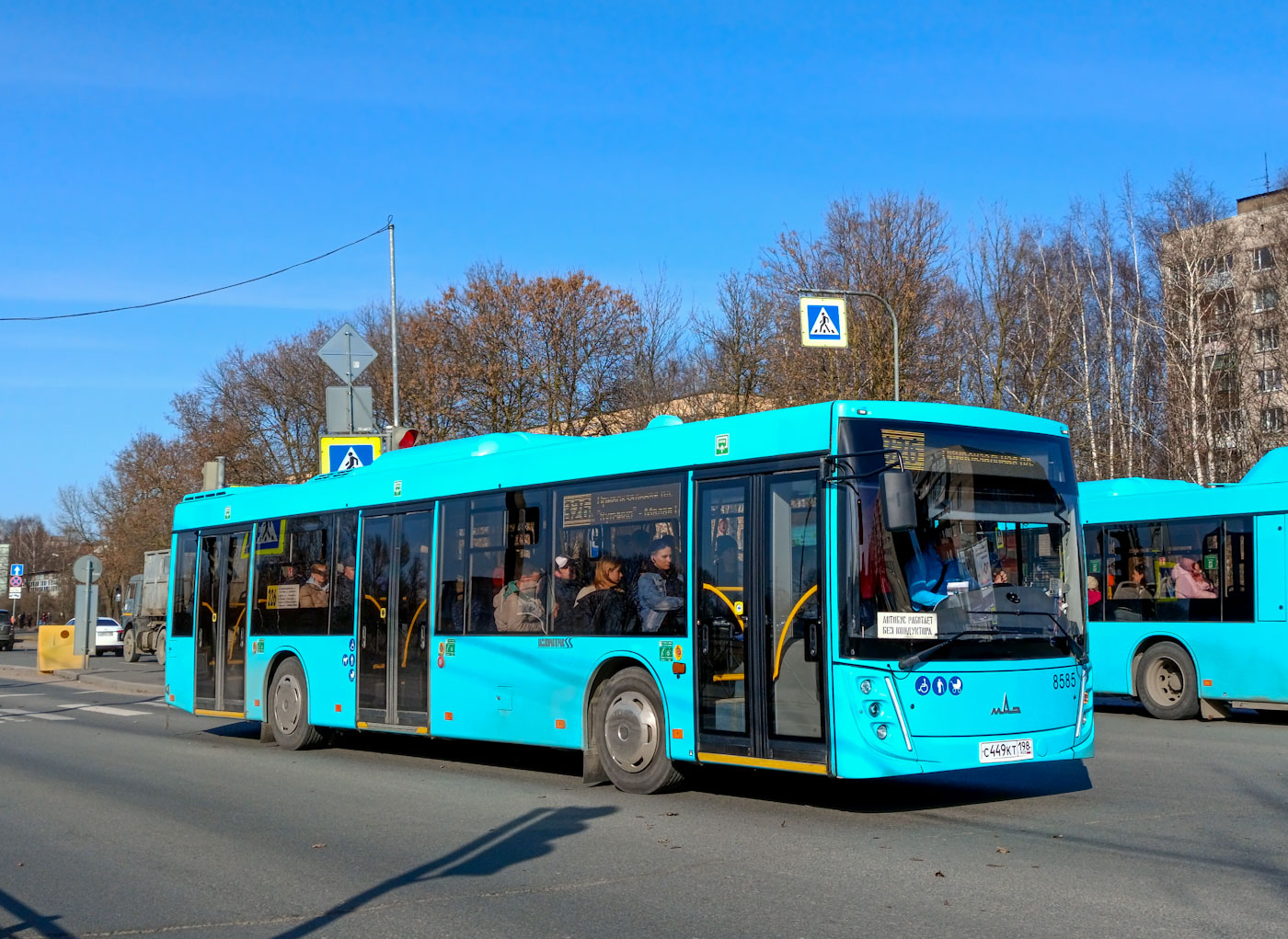 Санкт-Петербург, МАЗ-203.047 № 8585