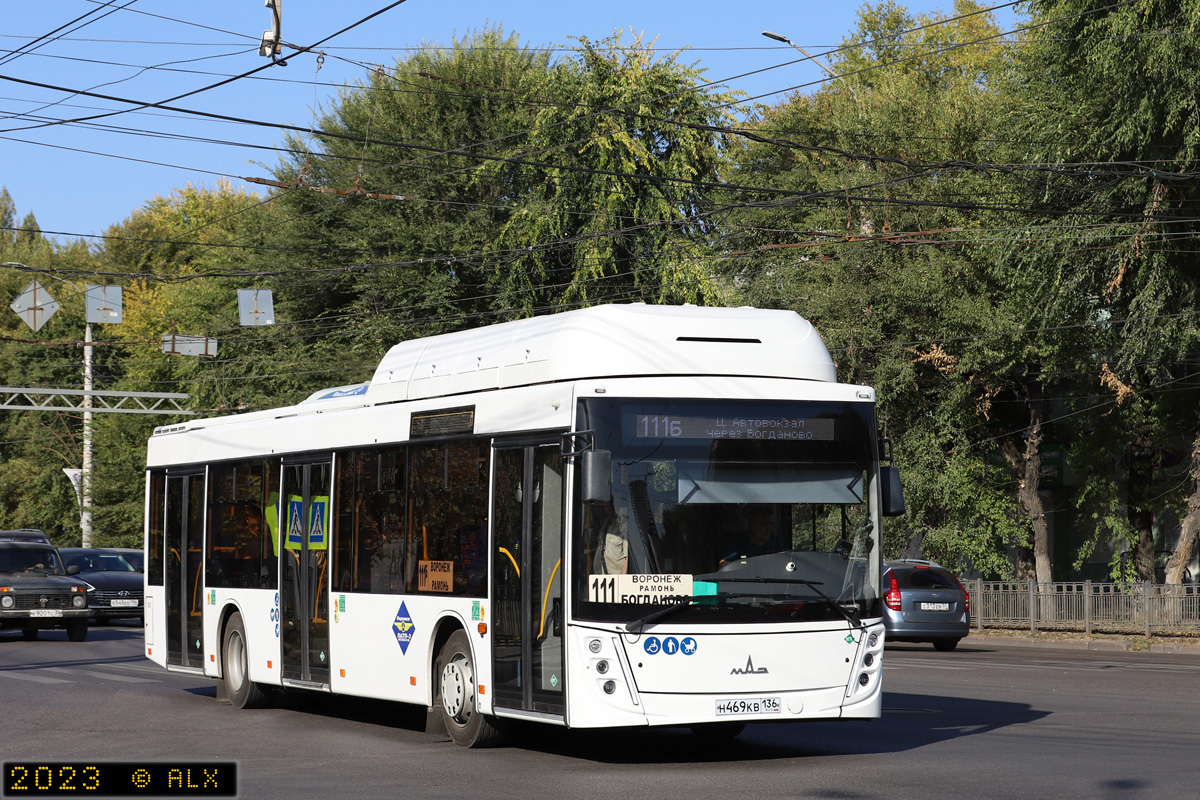 Воронежская область, МАЗ-203.948 № Н 469 КВ 136