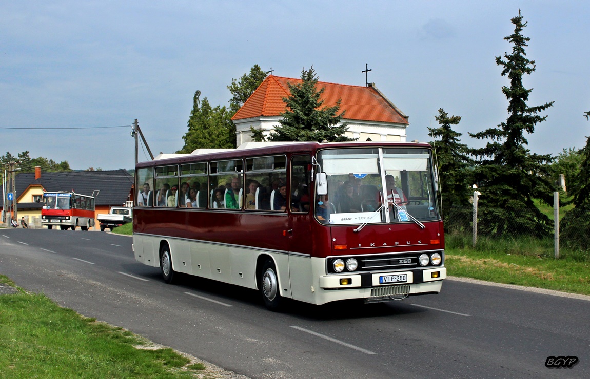 Венгрия, Ikarus 250.01 № VIP-250; Венгрия — III. Nemzetközi Ikarus Találkozó, Tapolca (2022)
