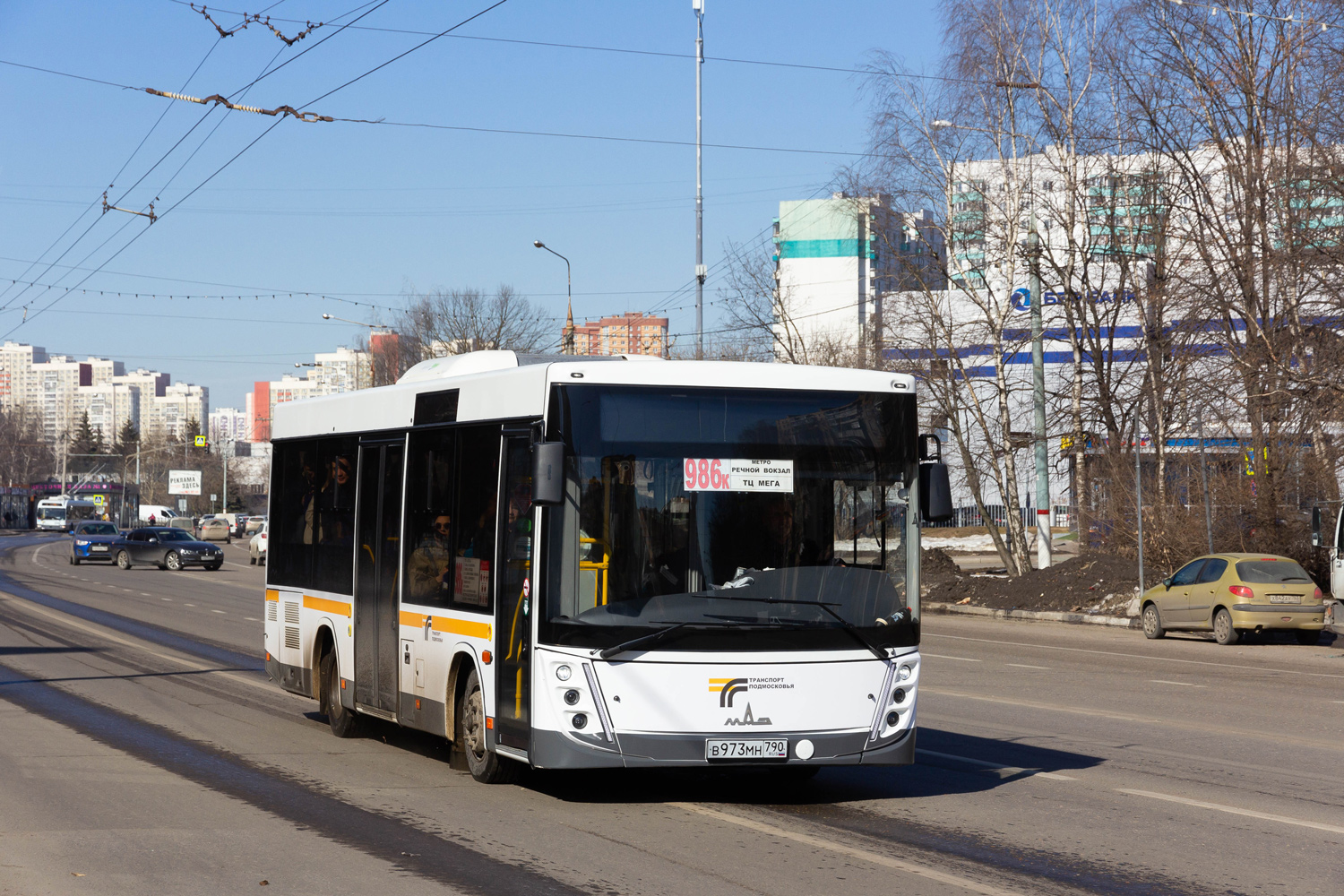 Moscow region, MAZ-206.047 # В 973 МН 790