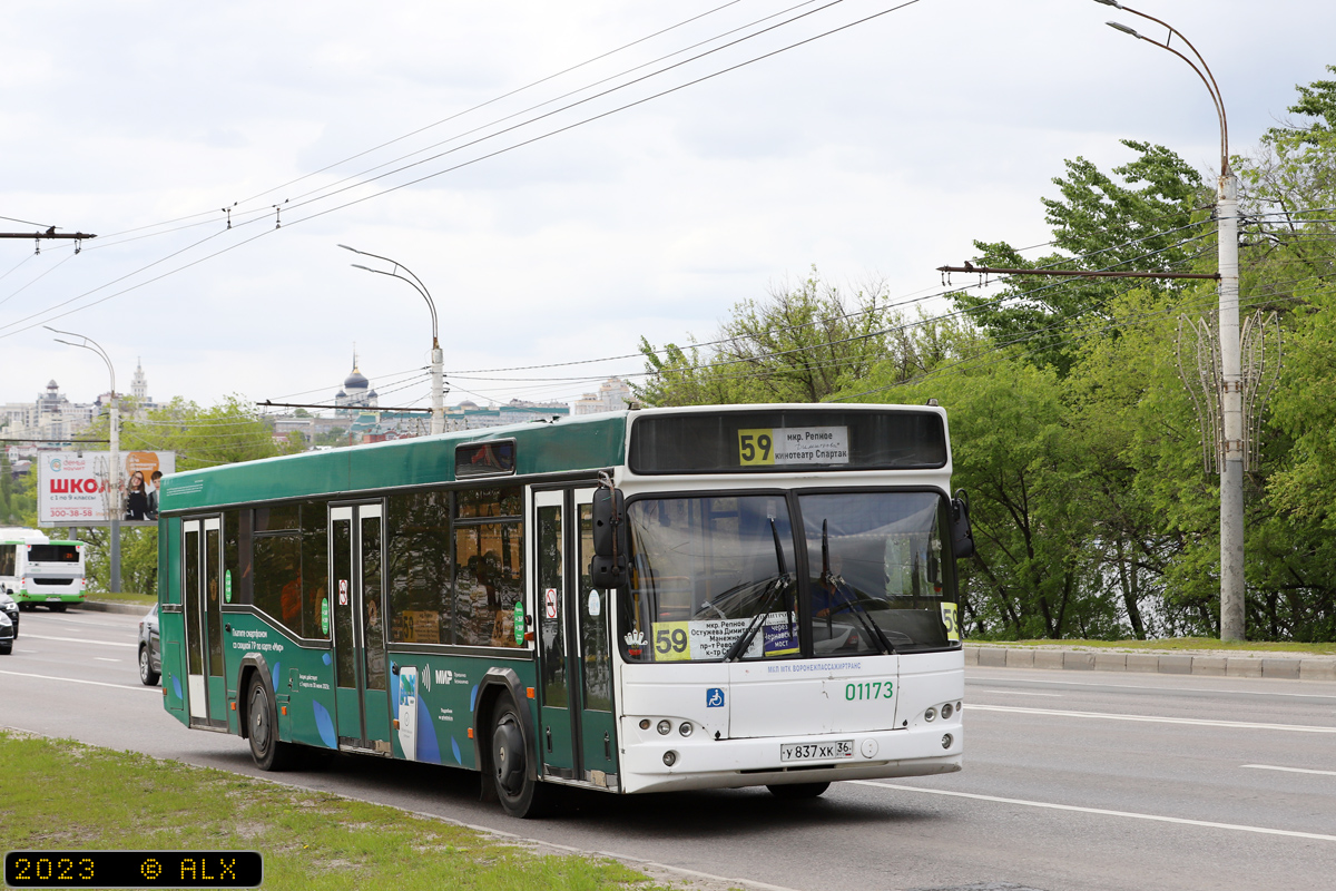 Воронежская область, МАЗ-103.469 № 01173