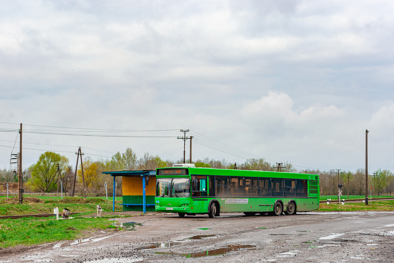 Брэсцкая вобласць, МАЗ-107.468 № 00530