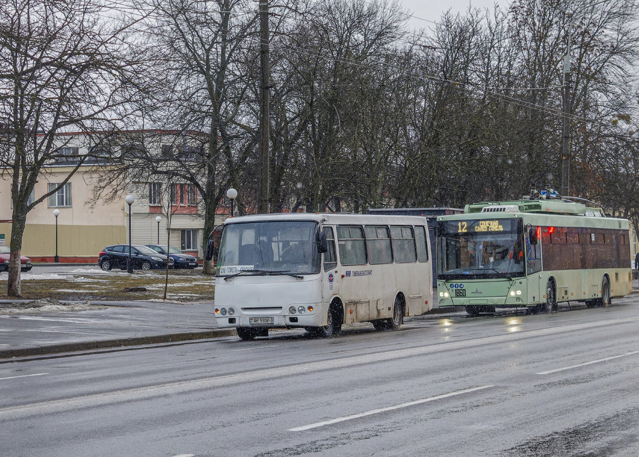 Гомельская область, ГАРЗ А09212 "Радимич" № 015385