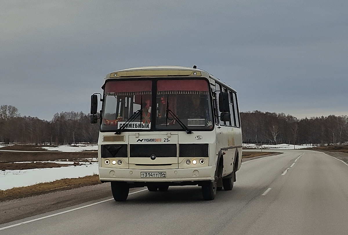 Новосибирская область, ПАЗ-320540-04 № Т 314 ТТ 154