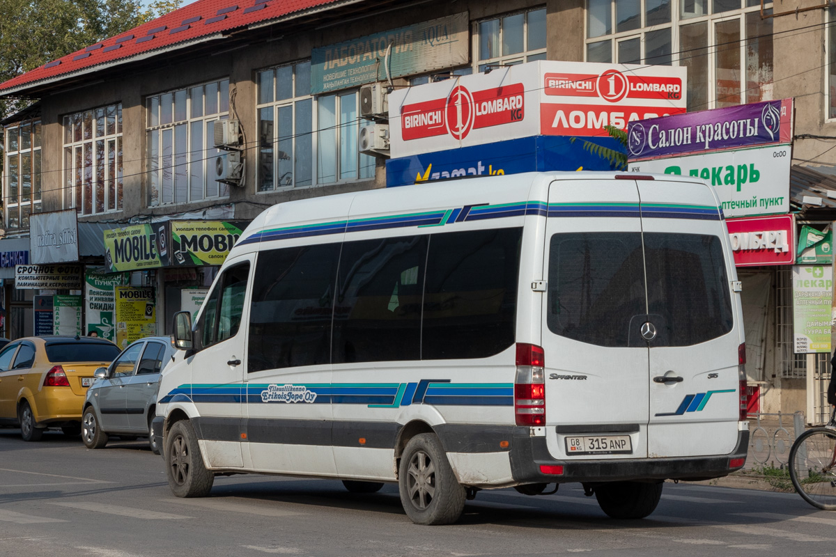 Кыргызстан, Mercedes-Benz Sprinter W906 315CDI № 08 315 ANP