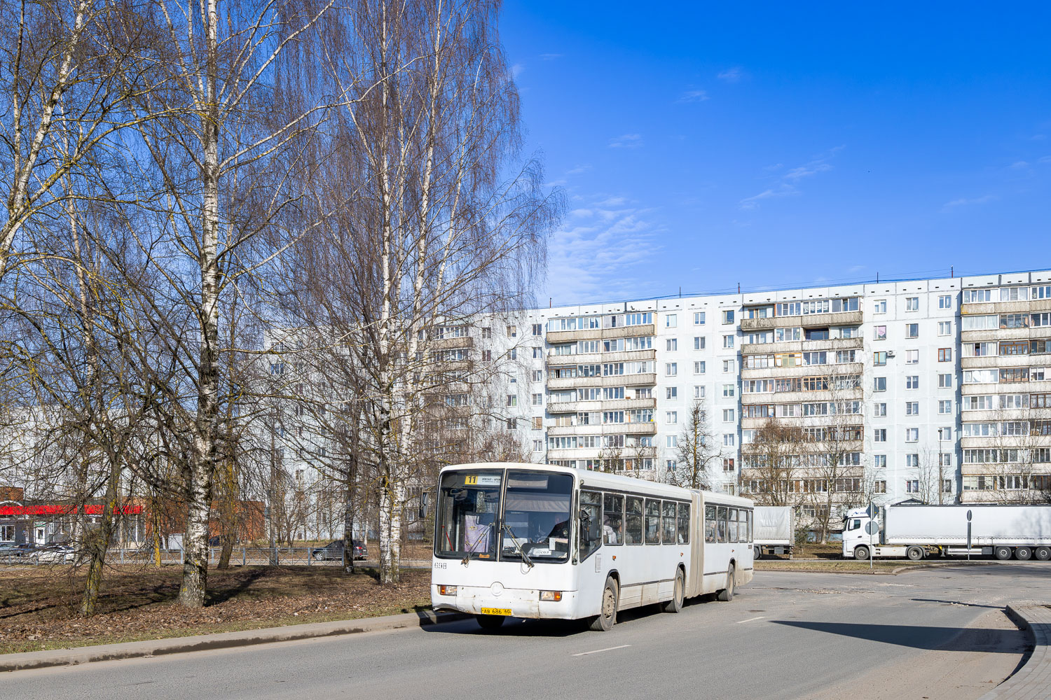 Псковская область, Mercedes-Benz O345G № 698