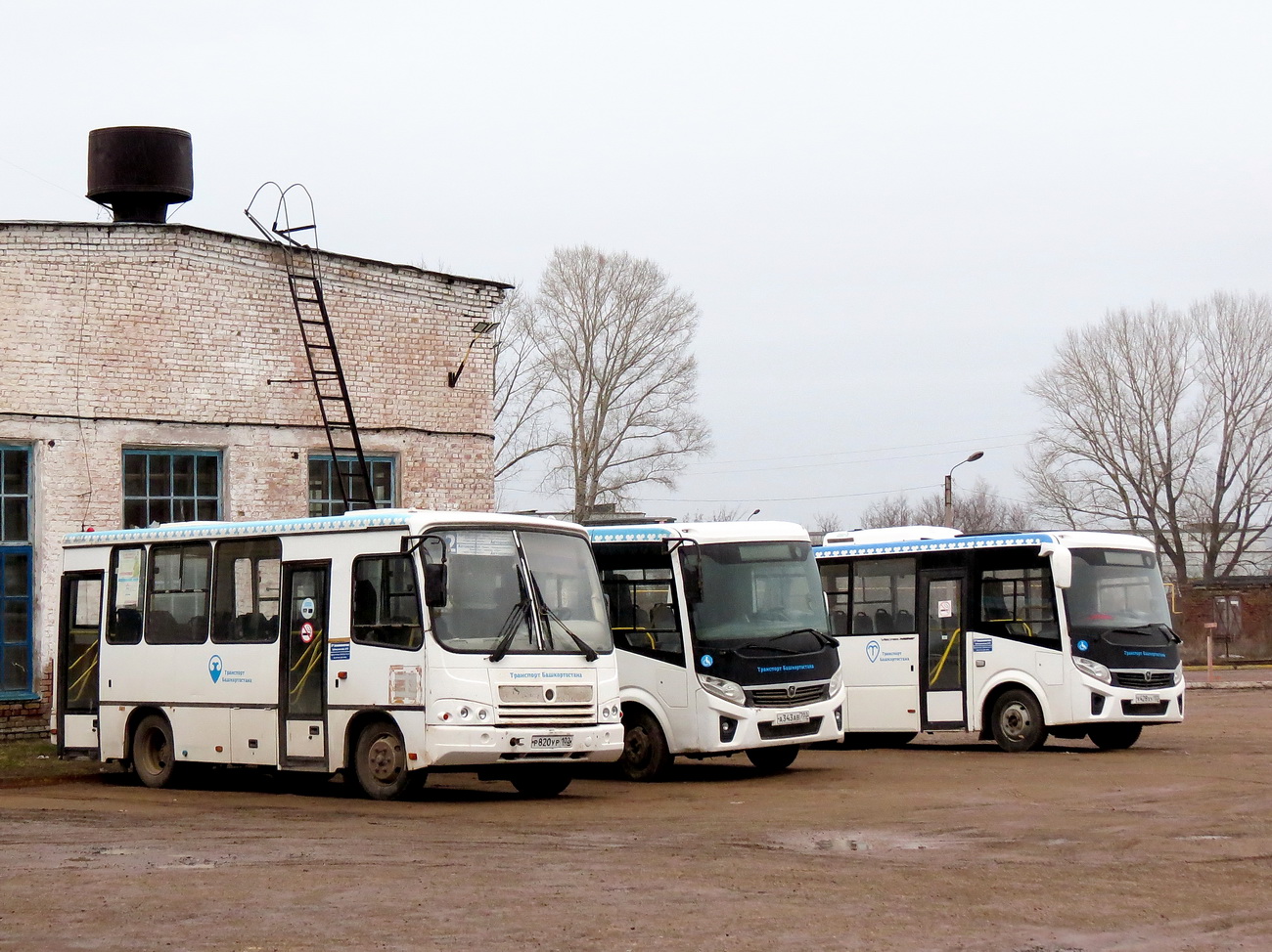 Башкортостан, ПАЗ-320302-08 № 7779; Башкортостан — Разные фотографии