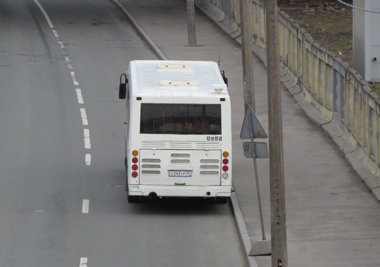 Ленинградская область, ЛиАЗ-5256.65 № О 243 УР 47