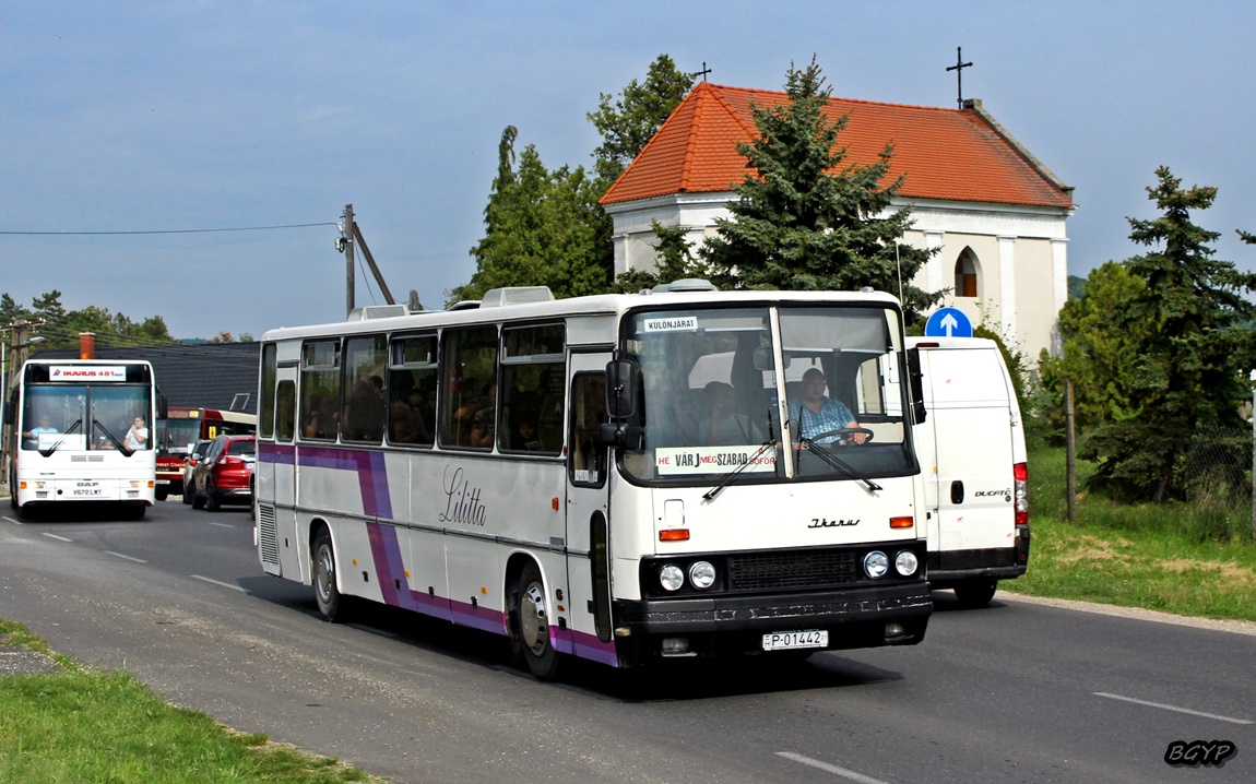 Венгрия, Ikarus 250.59 № P-01442 21; Венгрия — III. Nemzetközi Ikarus Találkozó, Tapolca (2022)