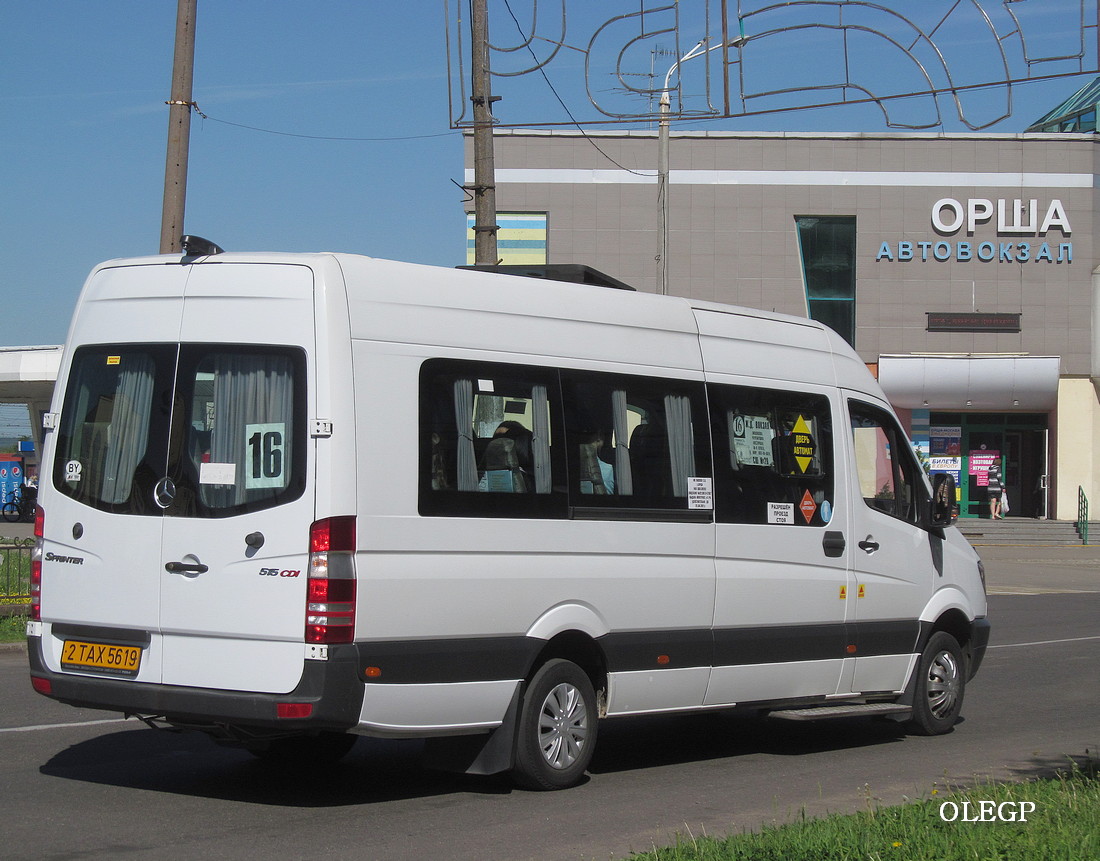 Витебская область, Луидор-2236* № 2 ТАХ 5619