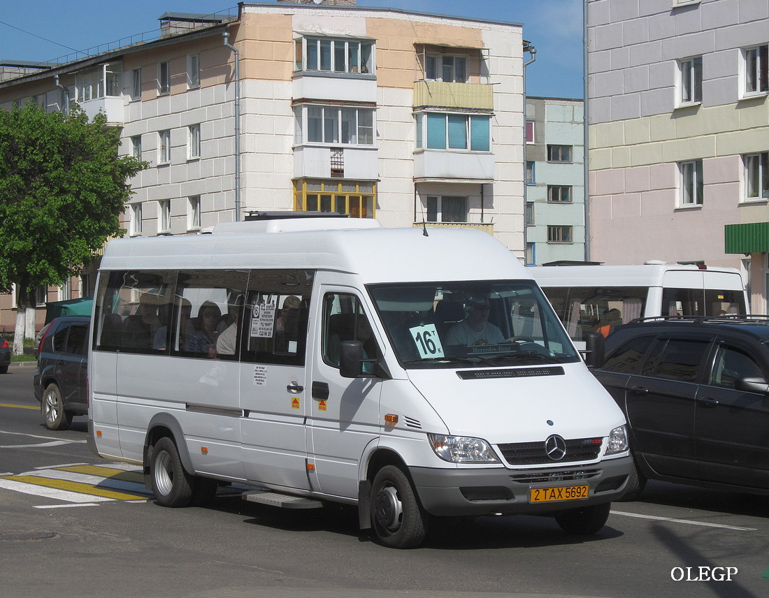 Витебская область, Луидор-223237 (MB Sprinter Classic) № 2 ТАХ 5692