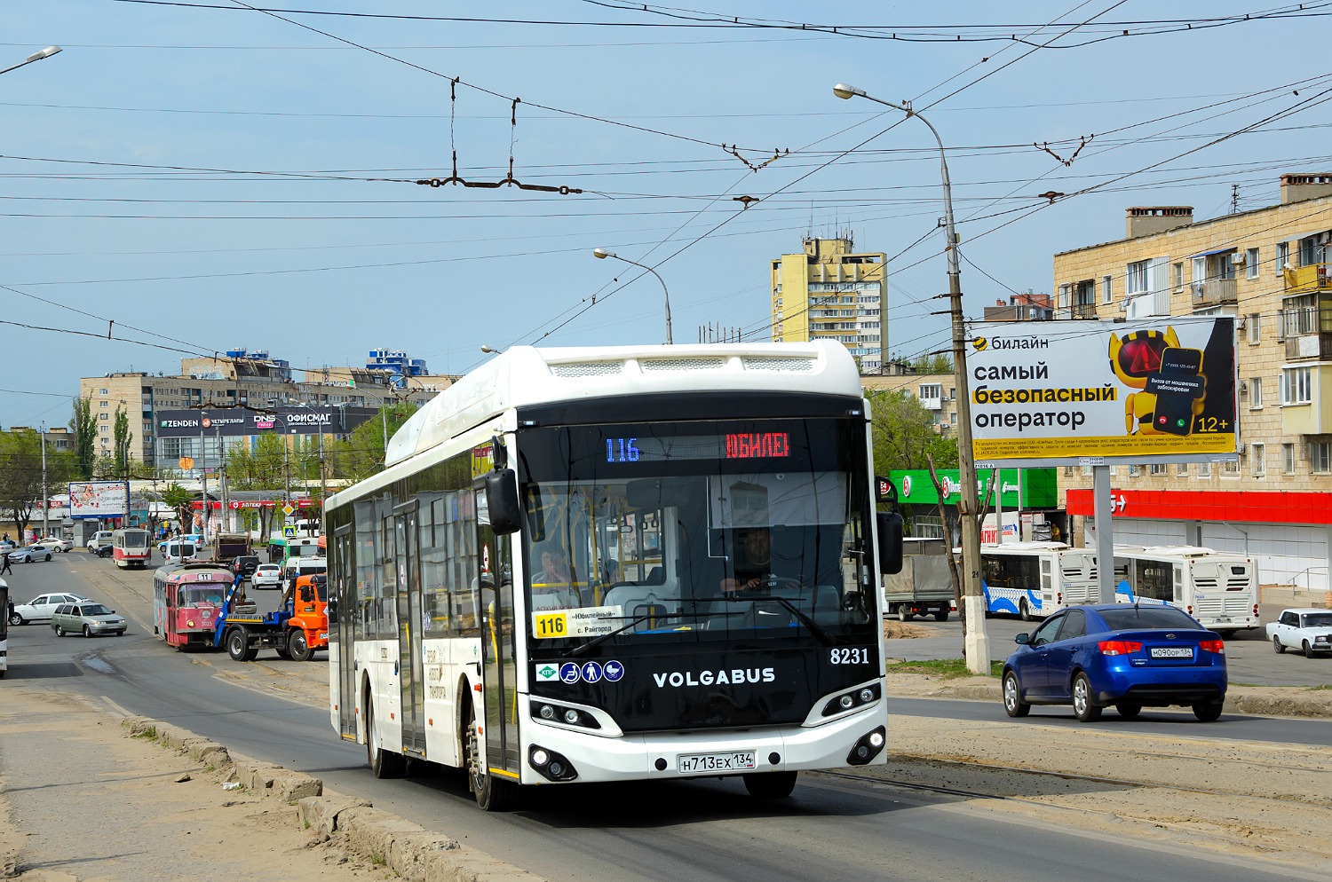 Волгоградская область, Volgabus-5270.G4 (CNG) № 8231