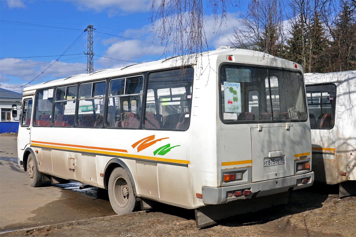 Владимирская область, ПАЗ-4234 № Т 875 НЕ 33
