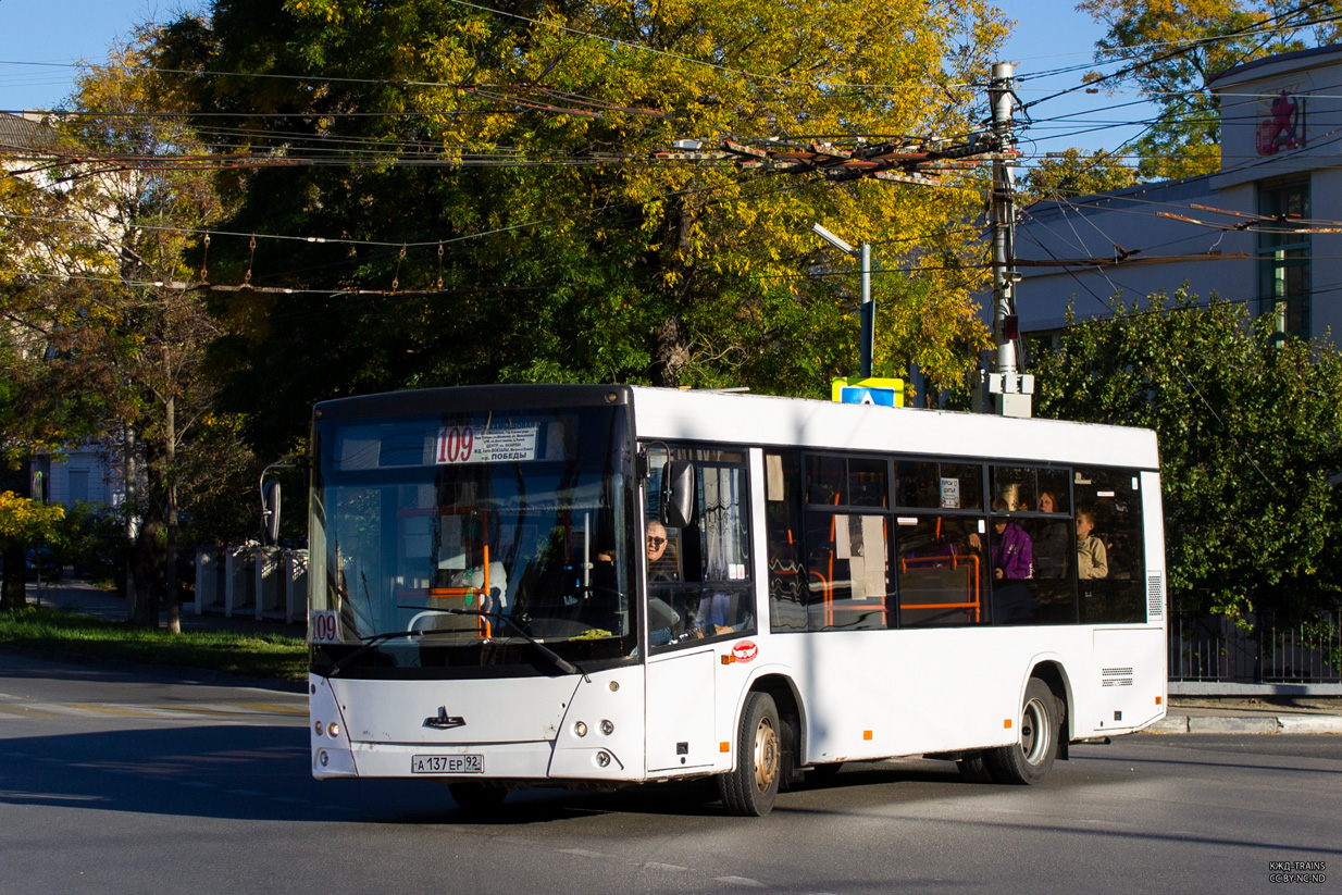 Севастополь, МАЗ-206.060 № А 137 ЕР 92 Севастополь, МАЗ-206.060 № А 137 ЕР 92