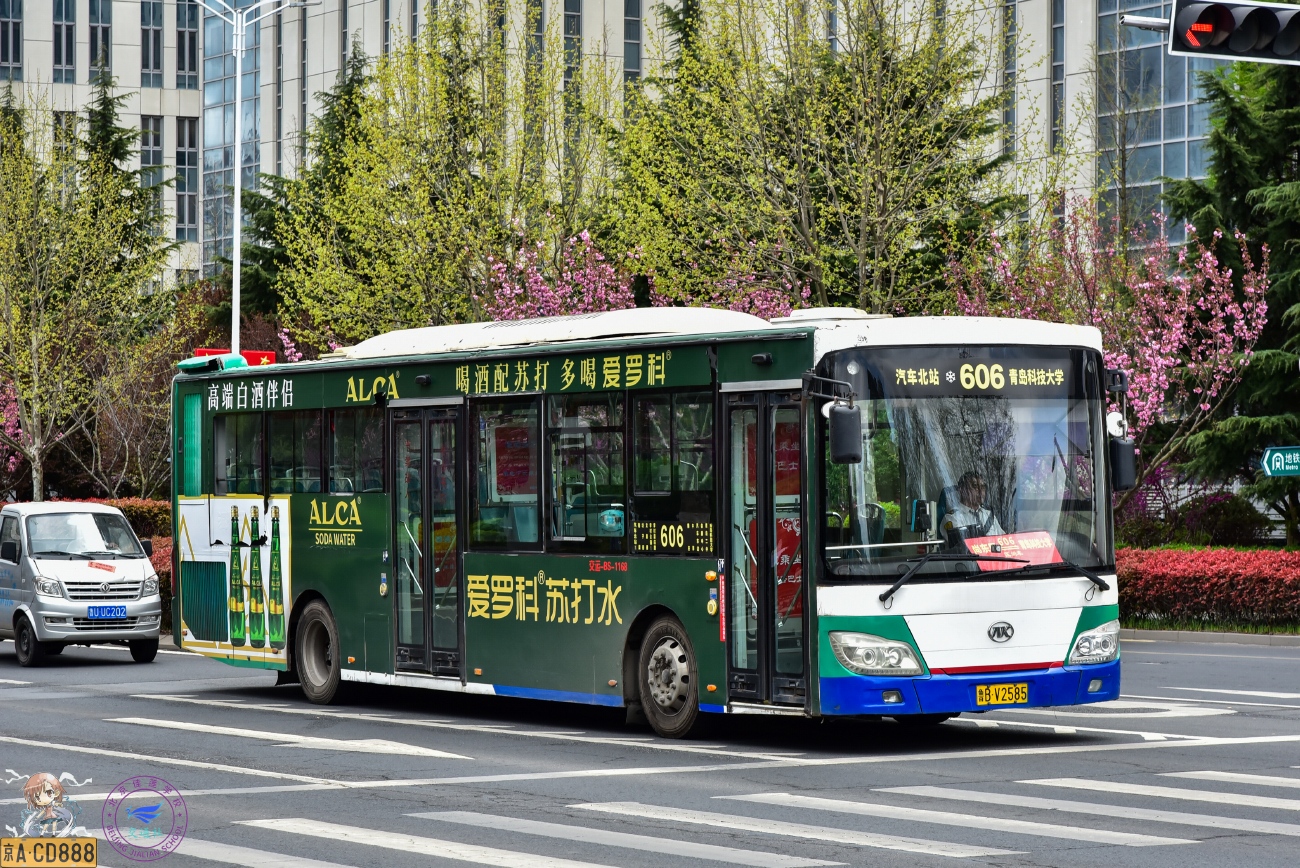 Китай, Ankai HFF6125GZ-4C № 1168