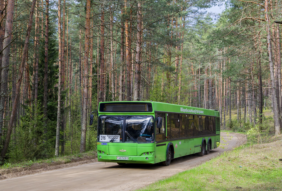 Витебская область, МАЗ-107.466 № 083811