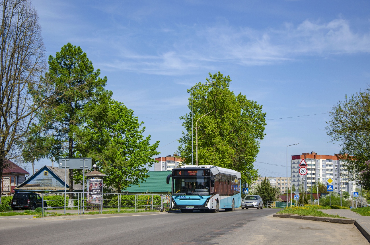 Минская область, МАЗ-303.E22 № 12338