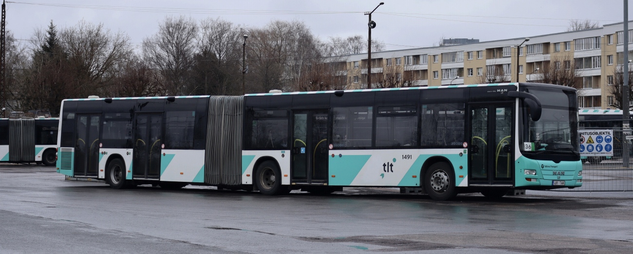 Эстония, MAN A40 Lion's City GL NG323 № 1491