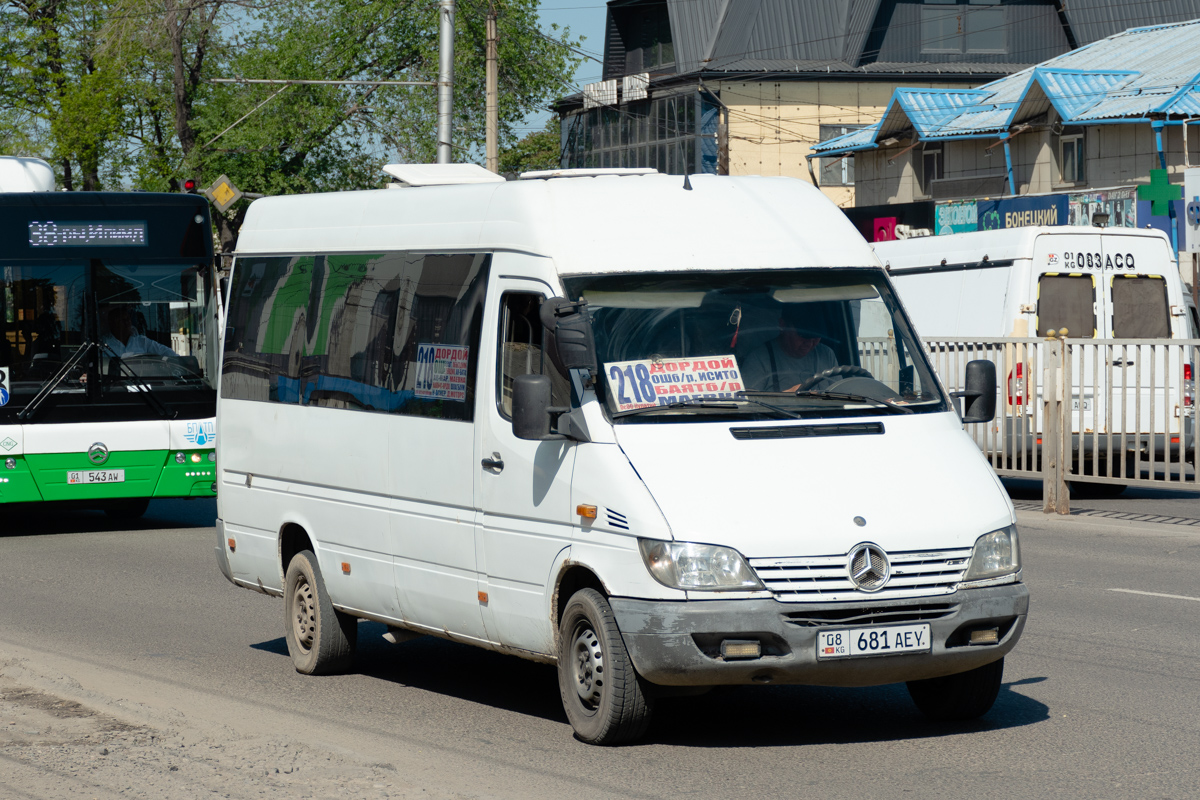 Кыргызстан, Mercedes-Benz Sprinter W903 311CDI № 08 681 AEY