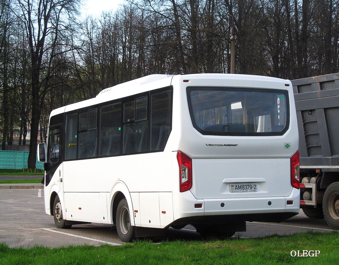 Витебская область, ПАЗ-3204 (Вектор) (все) № АМ 8379-2