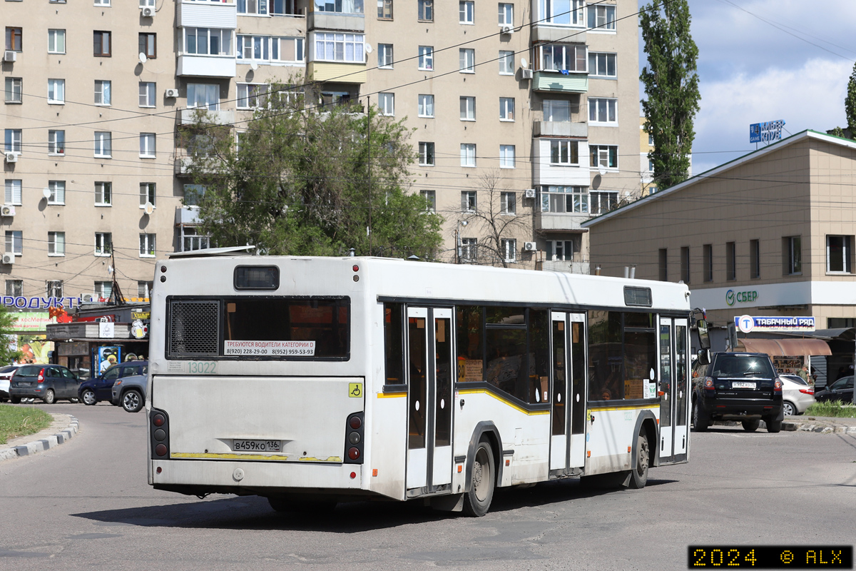 Воронежская область, МАЗ-103.465 № 13022