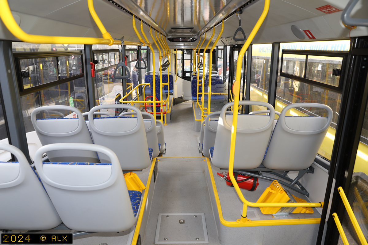 Воронежская область, НефАЗ-5299-30-52 № 13110