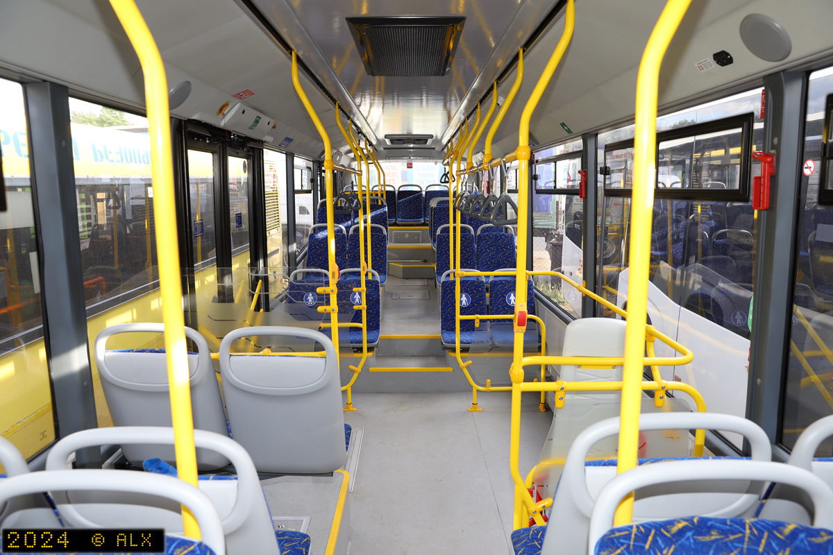 Воронежская область, НефАЗ-5299-30-52 № 13110