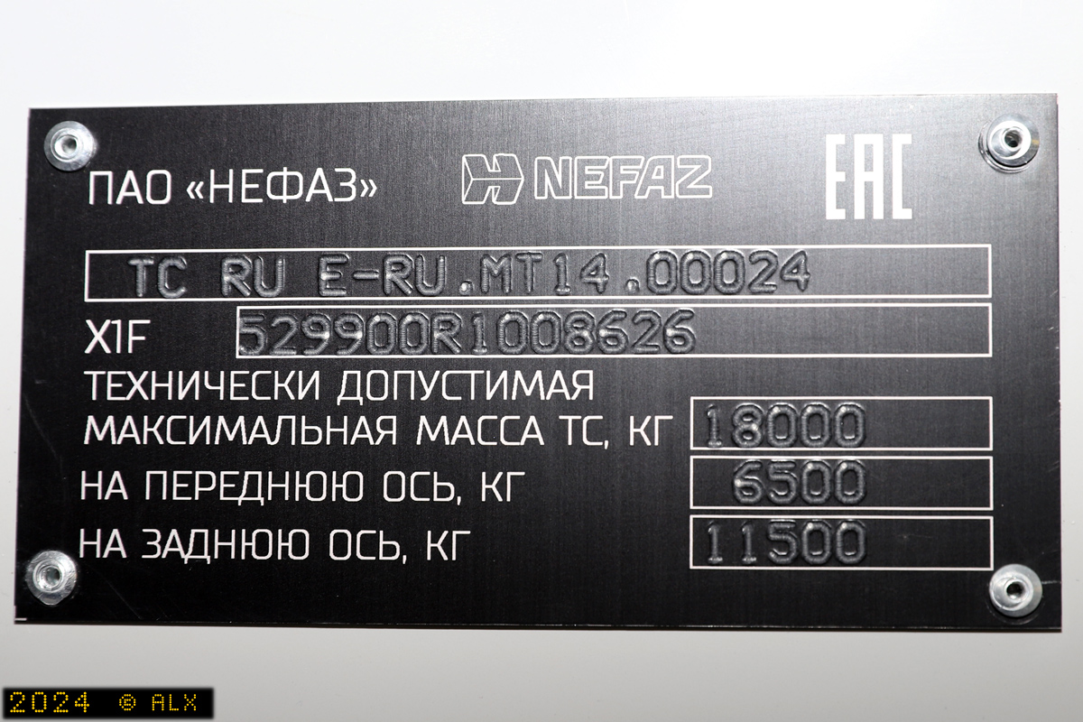 Воронежская область, НефАЗ-5299-30-52 № 13110