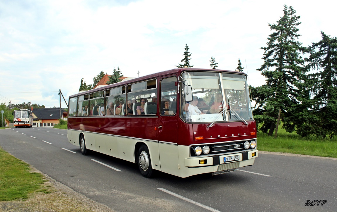 Vengrija, Ikarus 250.01 Nr. VIP-250; Vengrija — IV. Nemzetközi Ikarus Találkozó, Tapolca (2024)