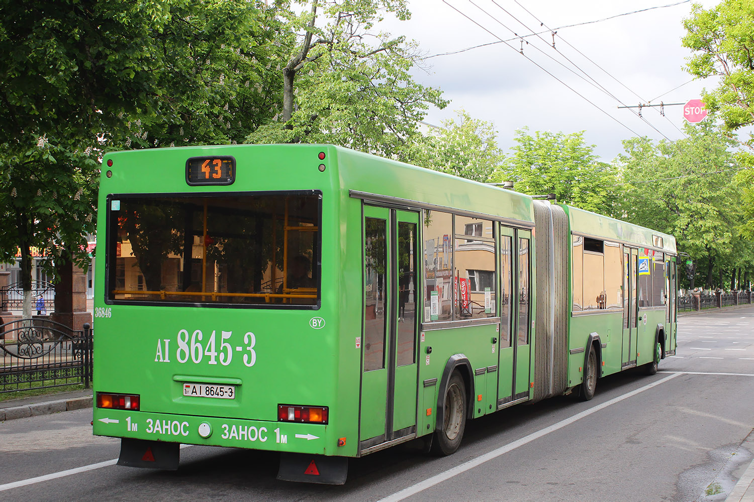 Гомельская область, МАЗ-105.465 № 036846