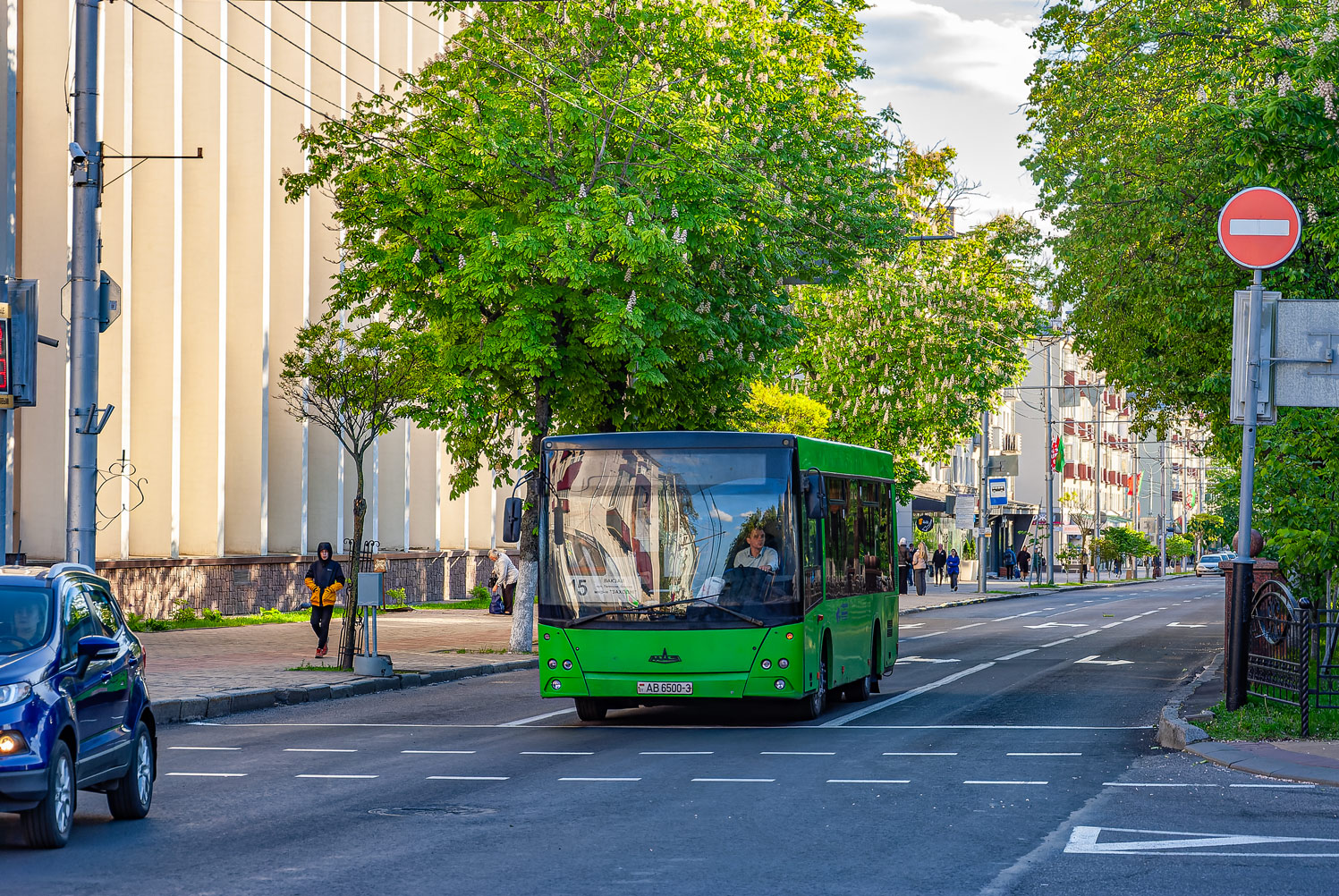 Гомельская область, МАЗ-206.067 № 25518