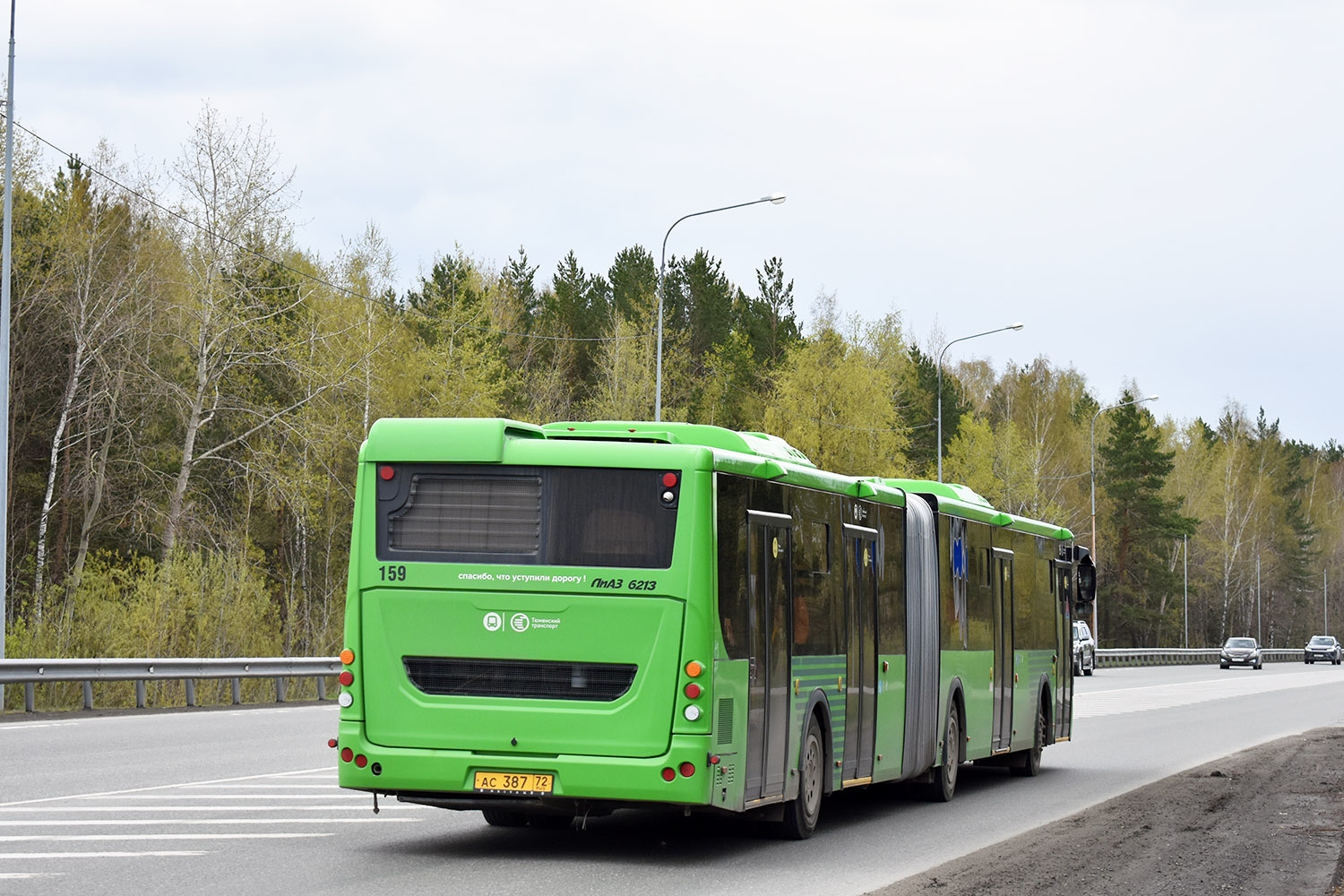 Tumen region, LiAZ-6213.65 # 159