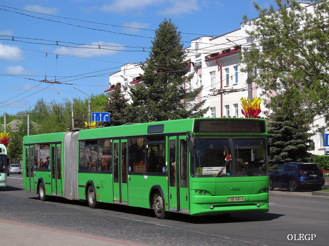 Могилёвская область, МАЗ-105.465 № 1049