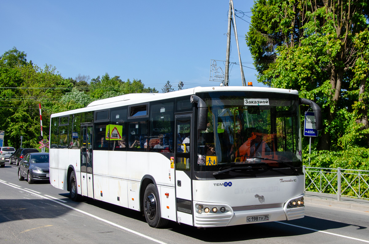 Калининградская область, TEMSA Tourmalin IC № С 198 ТУ 39
